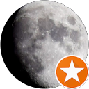 M Trowbridge profile picture